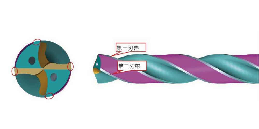 第一刃帶及第二刃帶示意圖